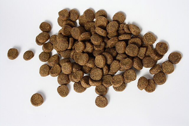 Dry brown kibble dog food pieces scattered on a white background.